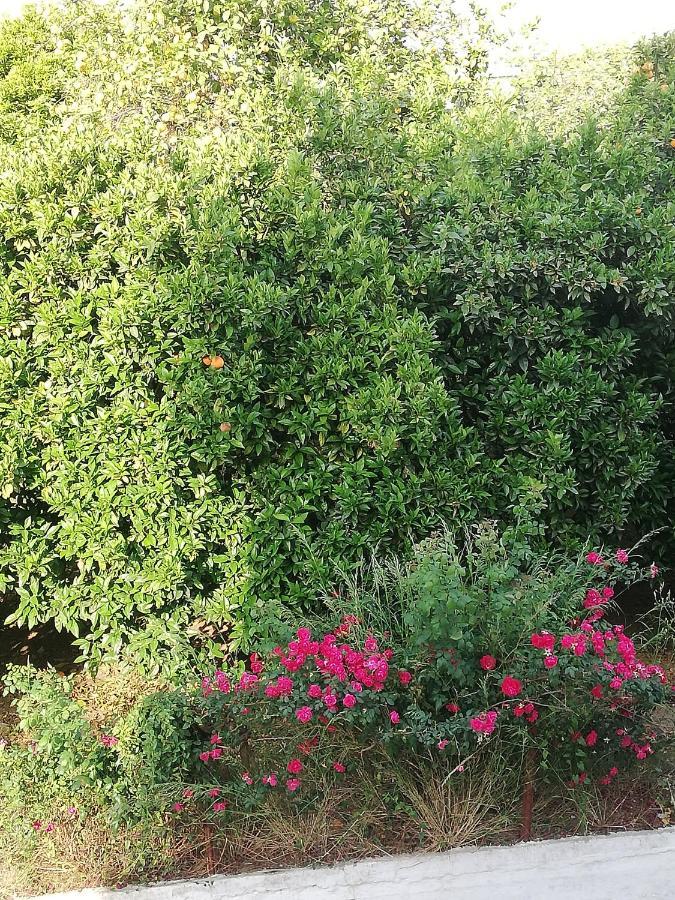 Nicol Apartmens Preveza Esterno foto